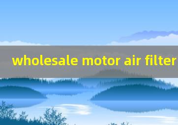 wholesale motor air filter